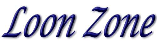 Loon Zone Logo &copy; Copyright